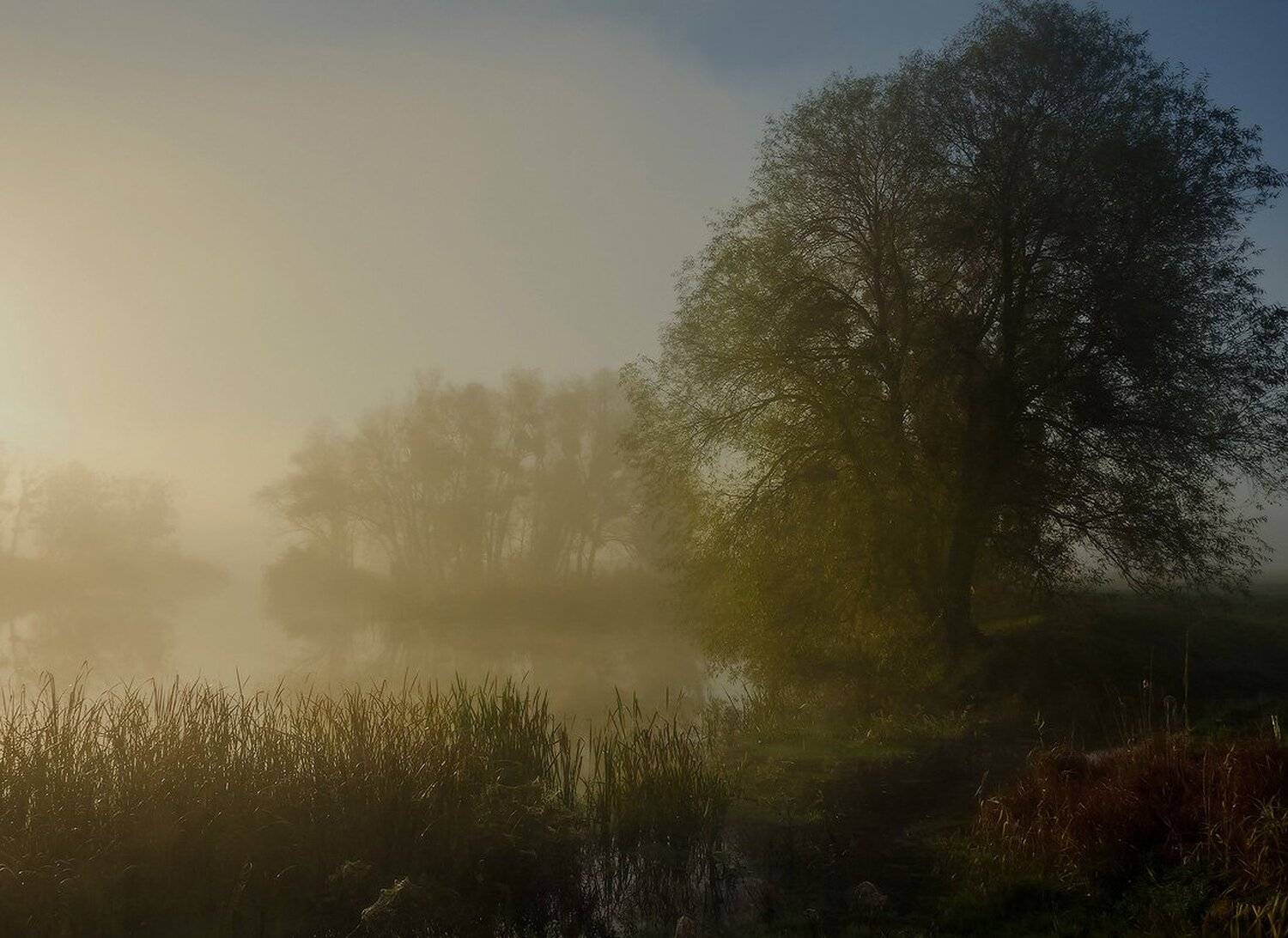 рассвет, туман, утро, Животков Андрей