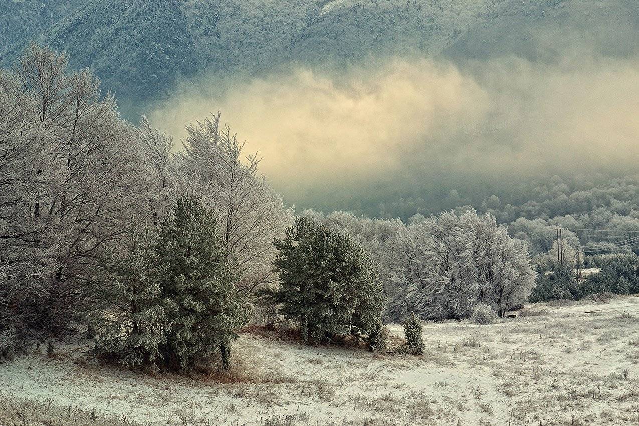 , Красимир Матаров