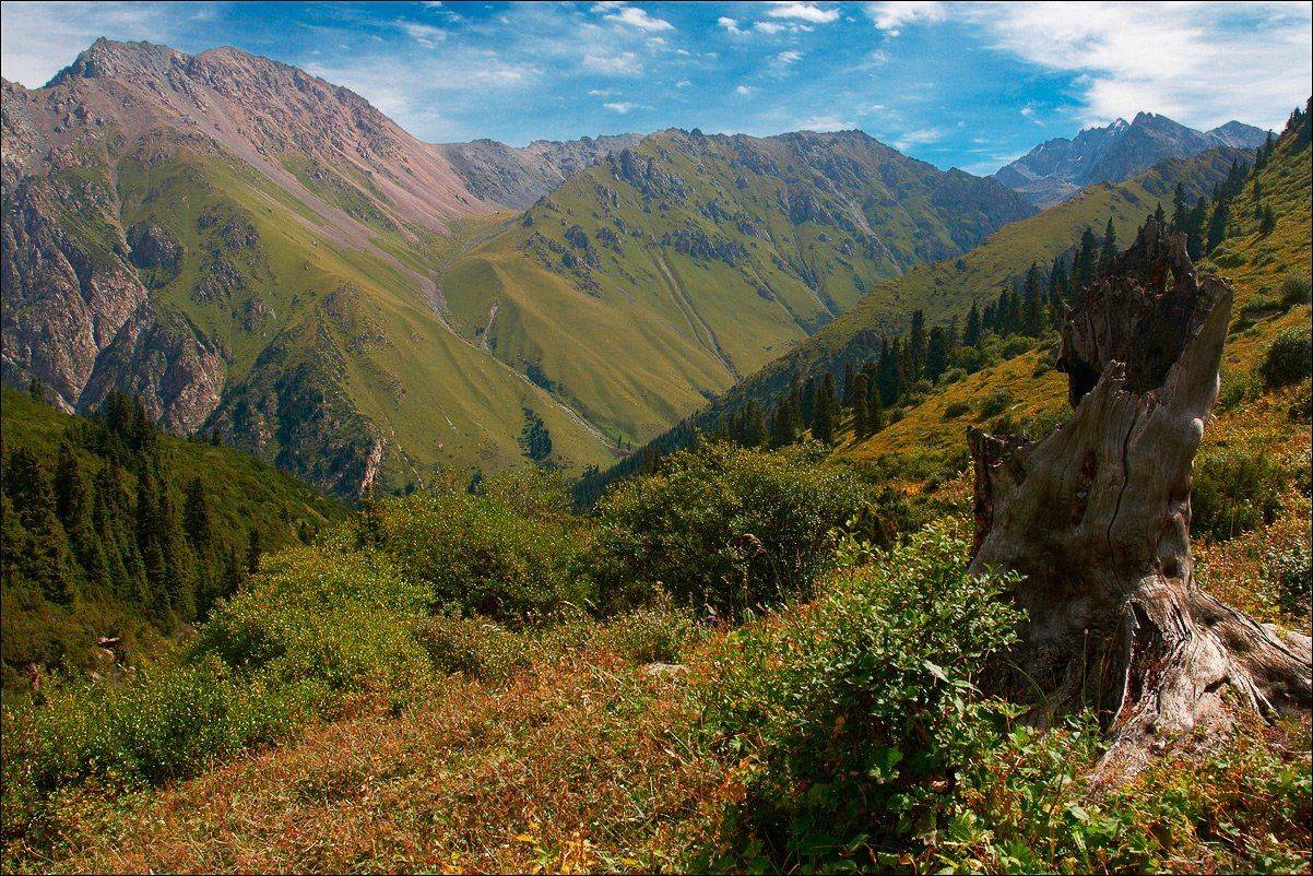 , Вадим Никифоров