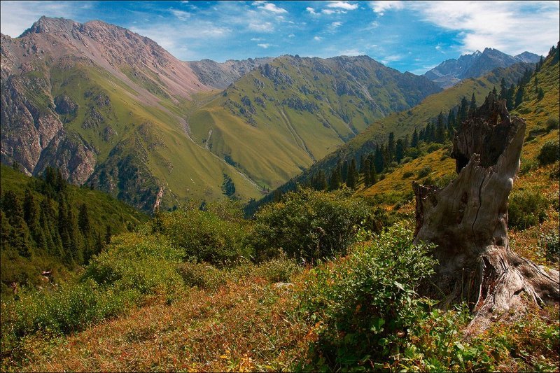 Склоны гор Киргизии. фото превью