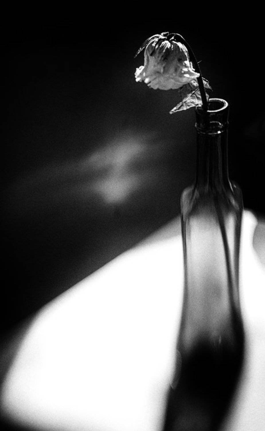 lensbaby, Татьяна Аверина