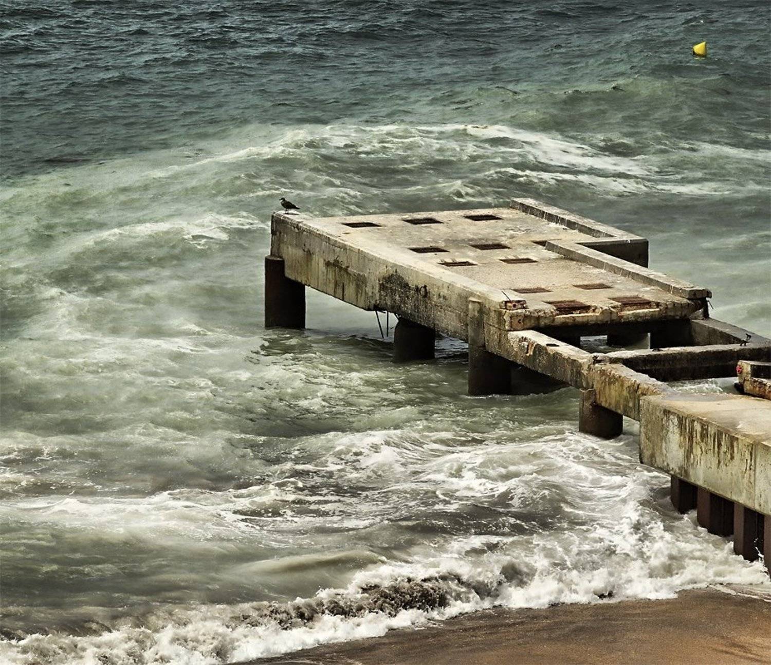 португалия, Игорь Дубровский