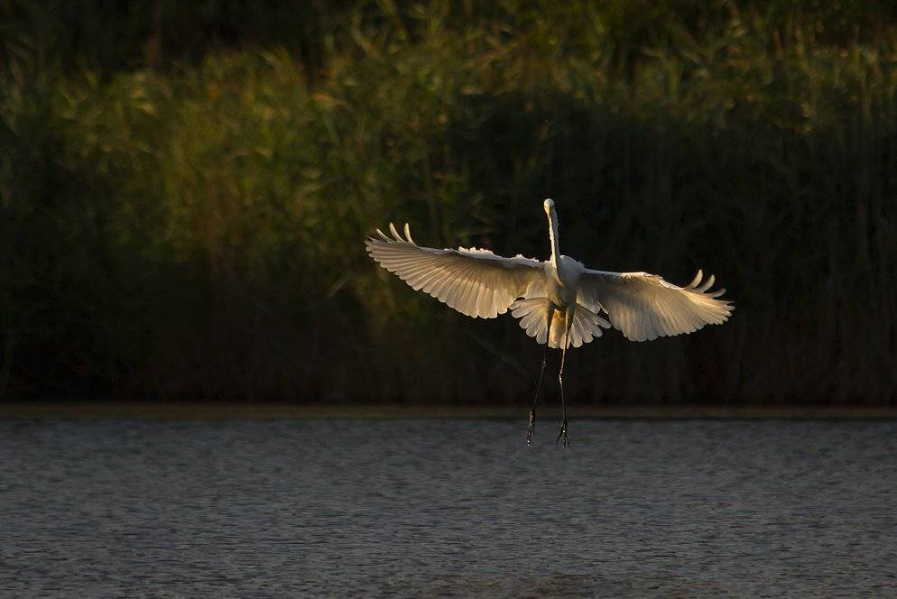 , Игорь Олейник