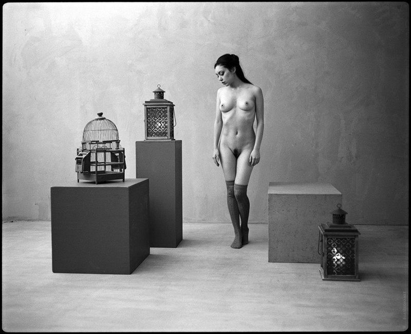 фото превью