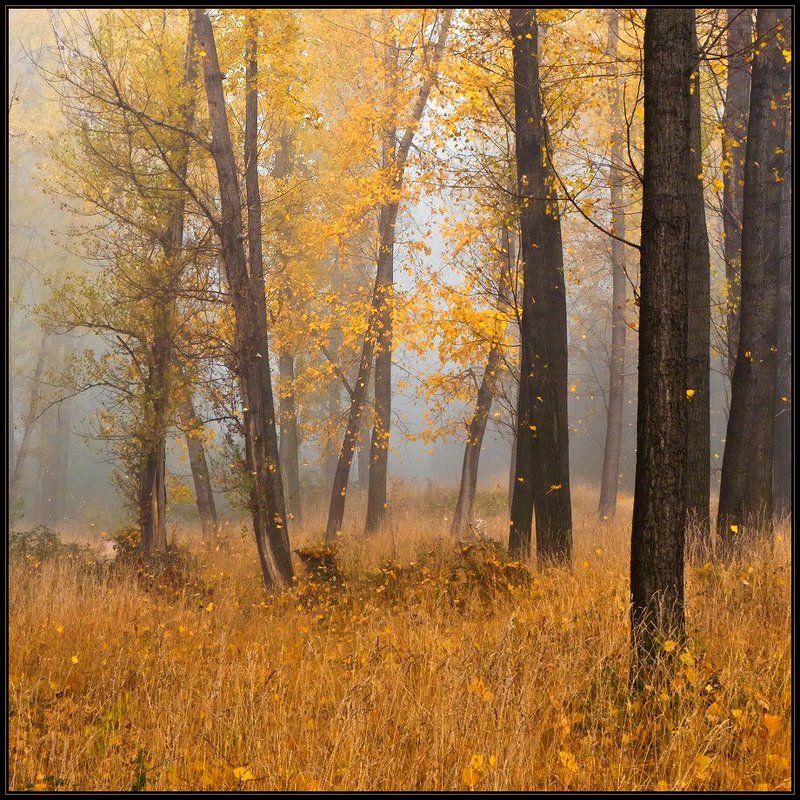 bulgaria Листопад фото превью