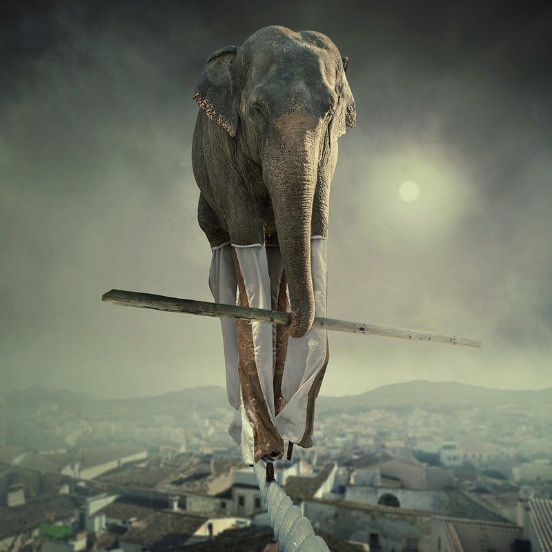 The perfectionist фото превью