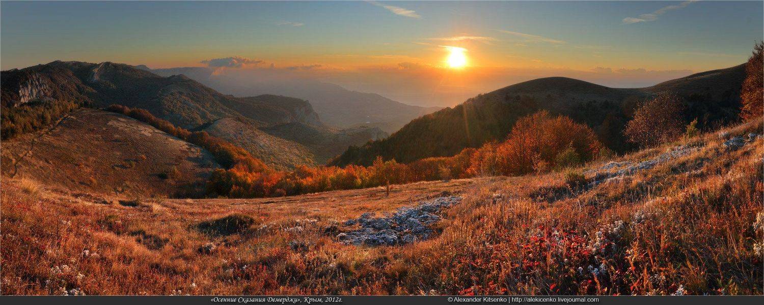 , Александр Киценко