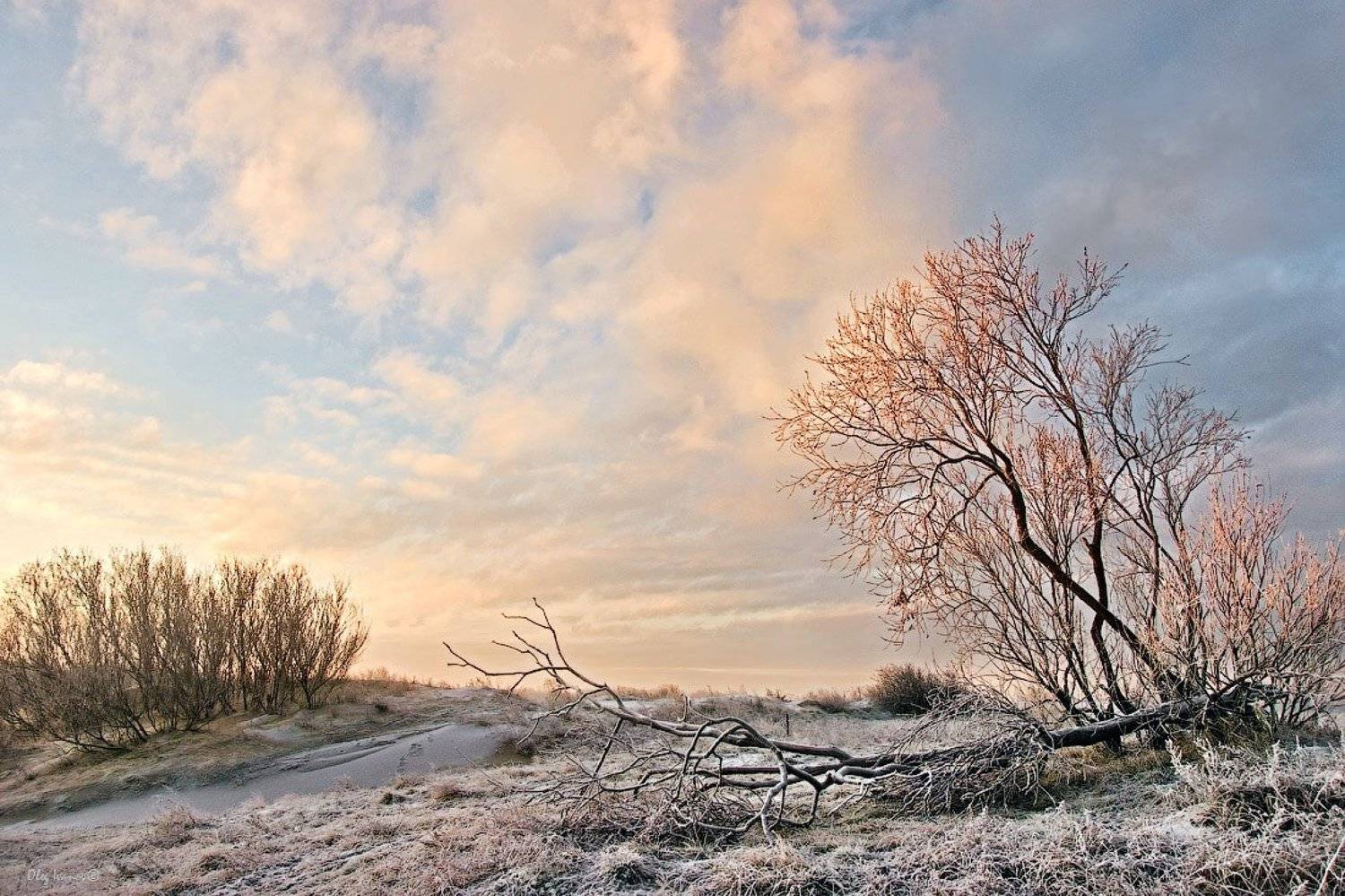 , Олег Иванов