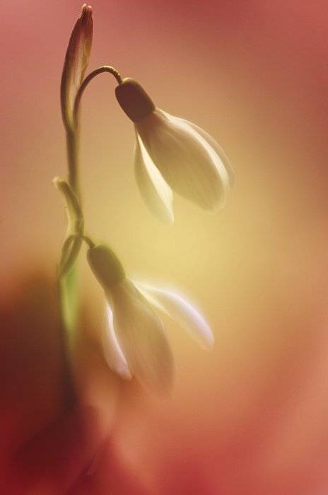 , Татьяна Аверина