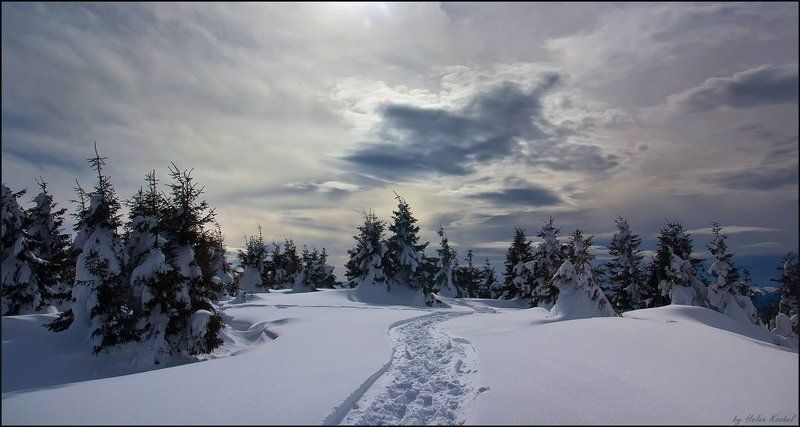 Прогулка Карпатами фото превью