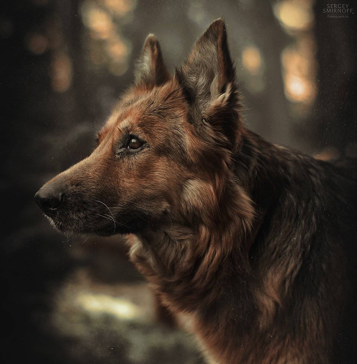 , Смирнов Сергей