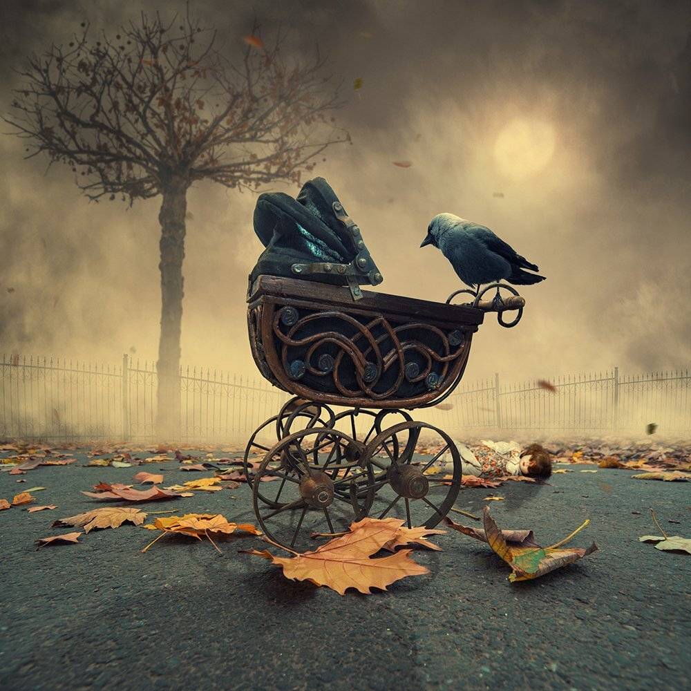 sky, reflection, bird, light, clouds, ground, manipulation, elephant, mounting, wheel, bag, feather, psd, spinner, tutorials, Caras Ionut