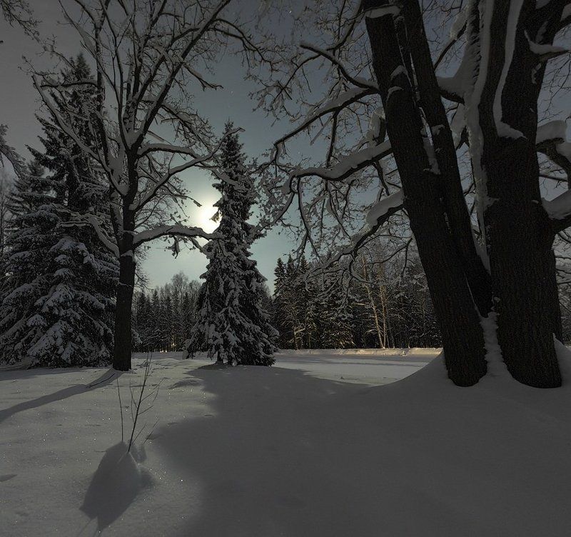 ~90~ фото превью