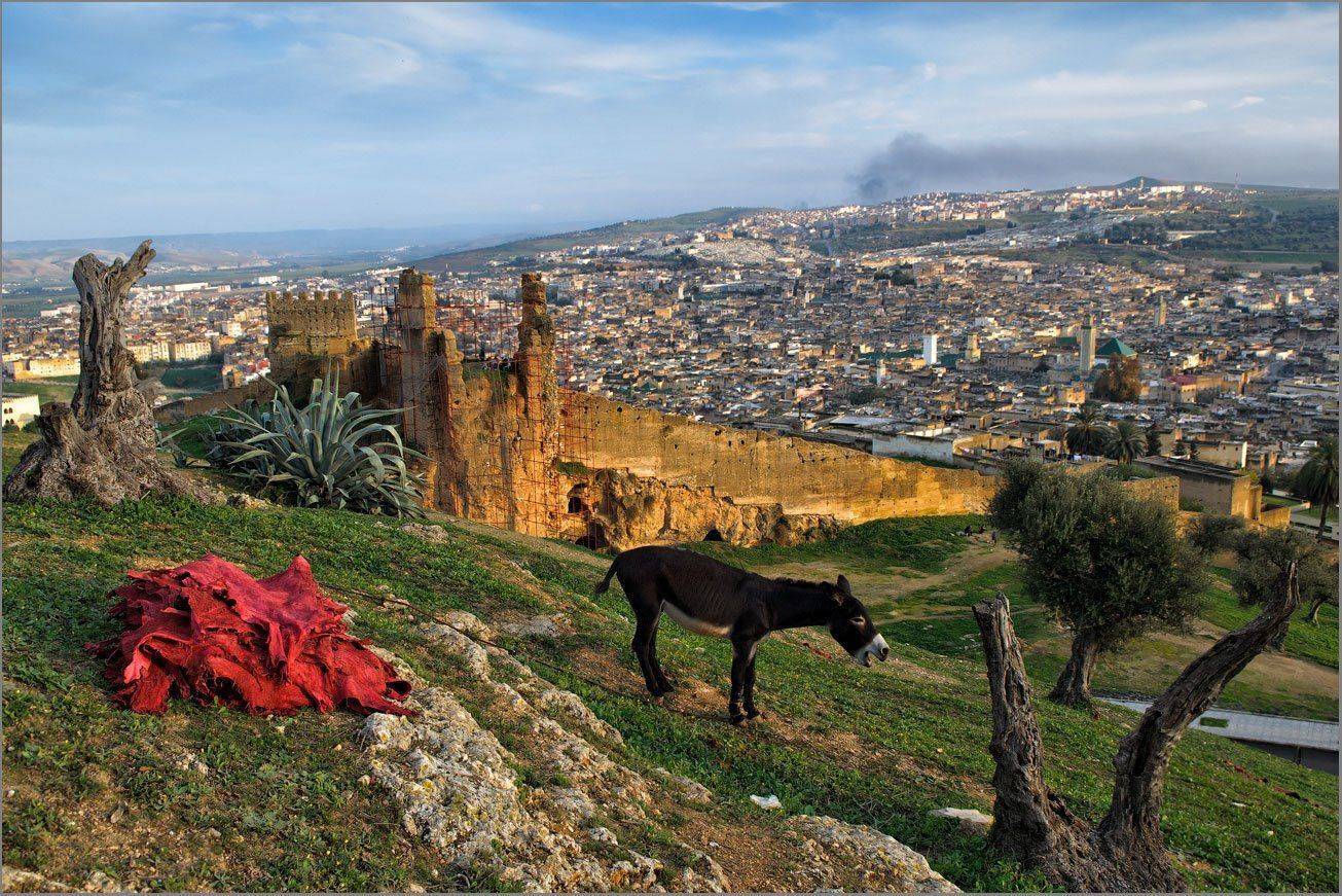 фес, марокко, Almaz