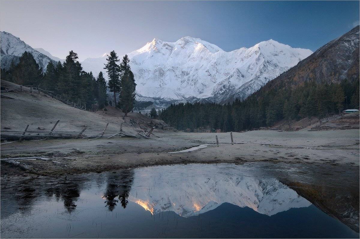 , Алексеевич