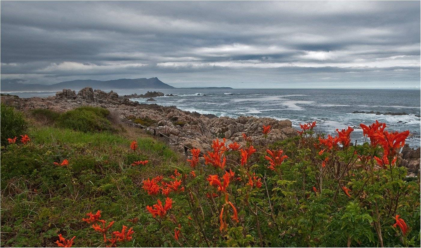юар, побережье, индийский океан, Сергей Гаспарян