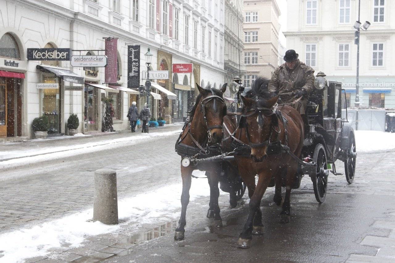 извозчик,лошади,  вена, холод, Ирина Назарова