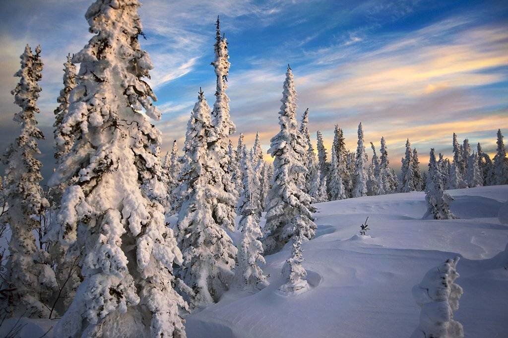 шерегеш, гора зеленая, вечер, пихты, свет, краски, горная шория, Валерий Пешков