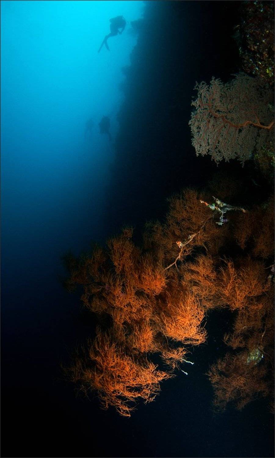 глыбако, Нетушки