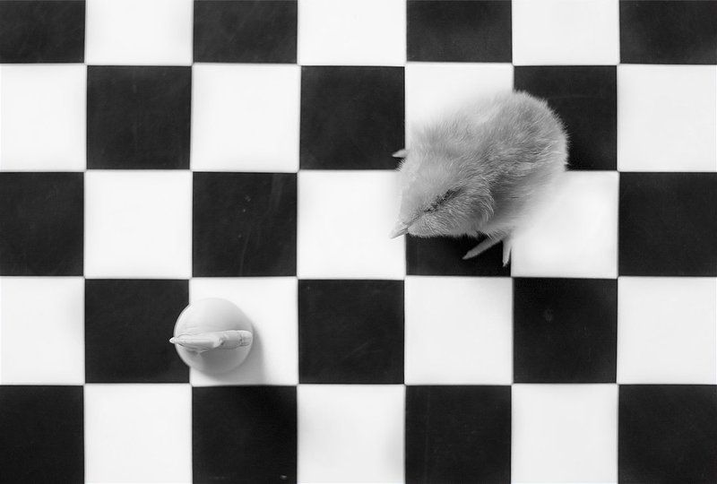 *** фото превью