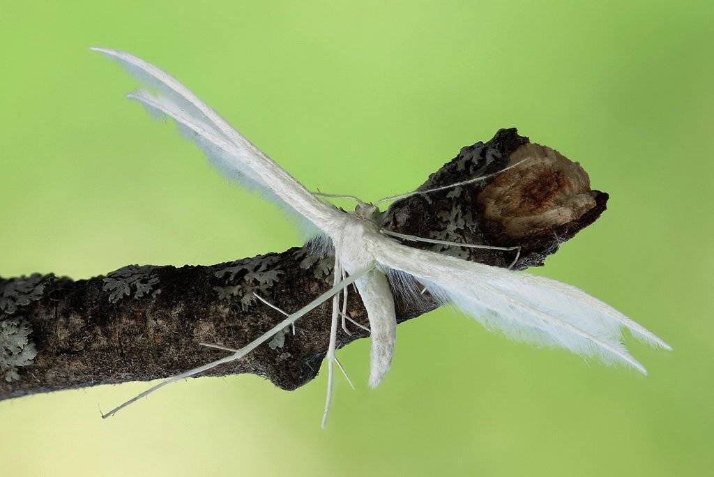 , Сергей Таланов