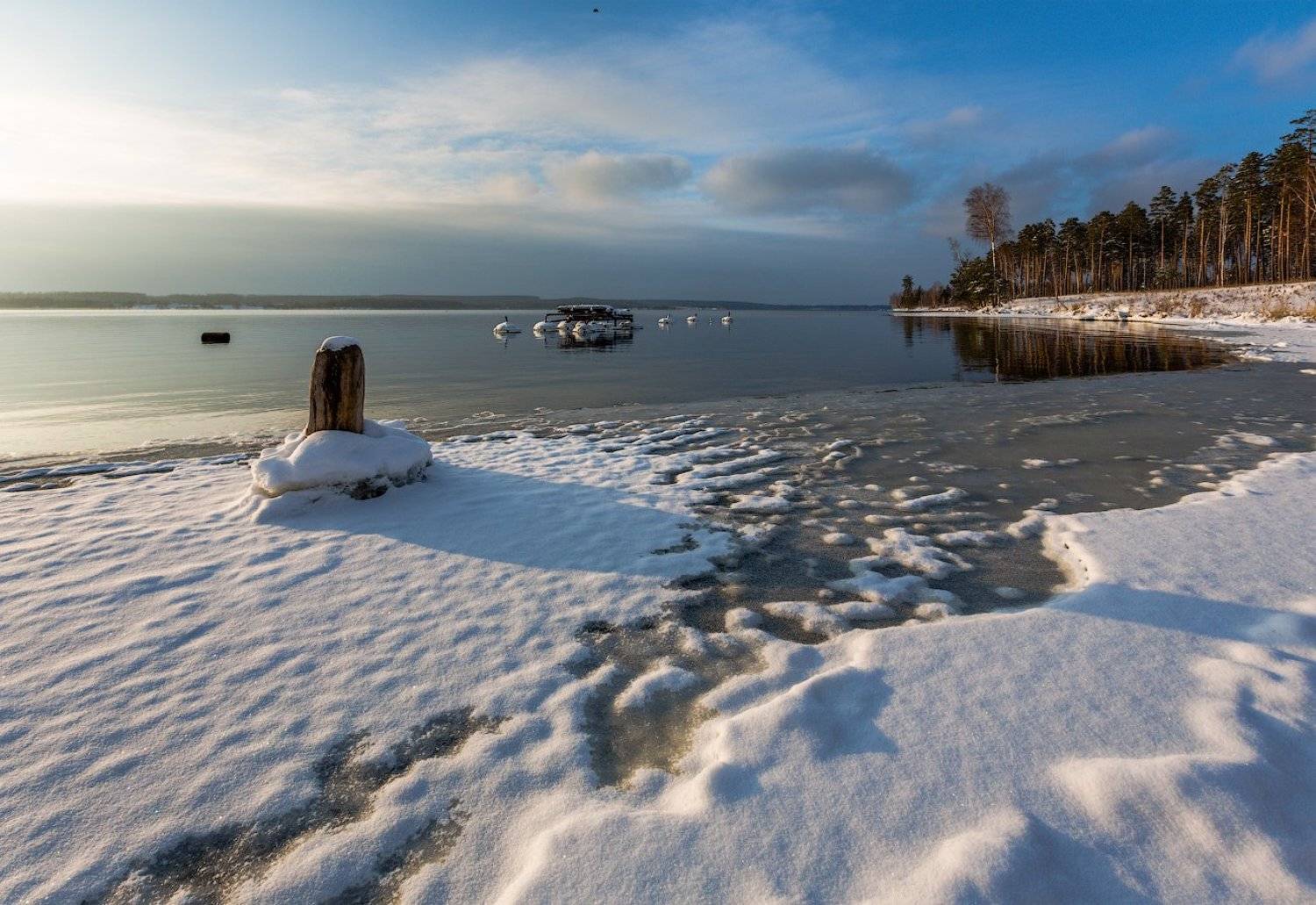 , Игорь Иванов