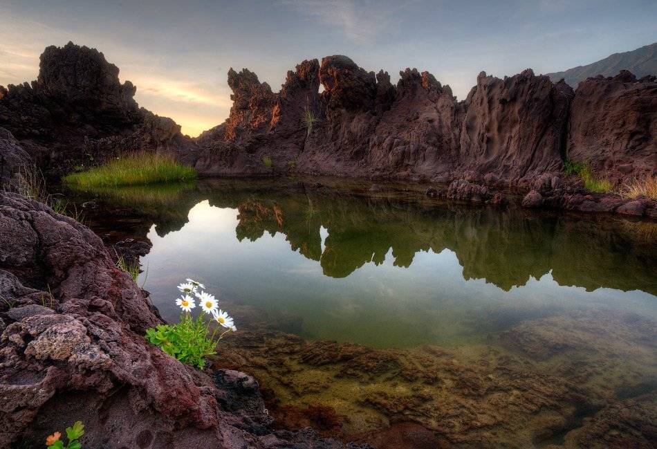 , Алексей Харитонов