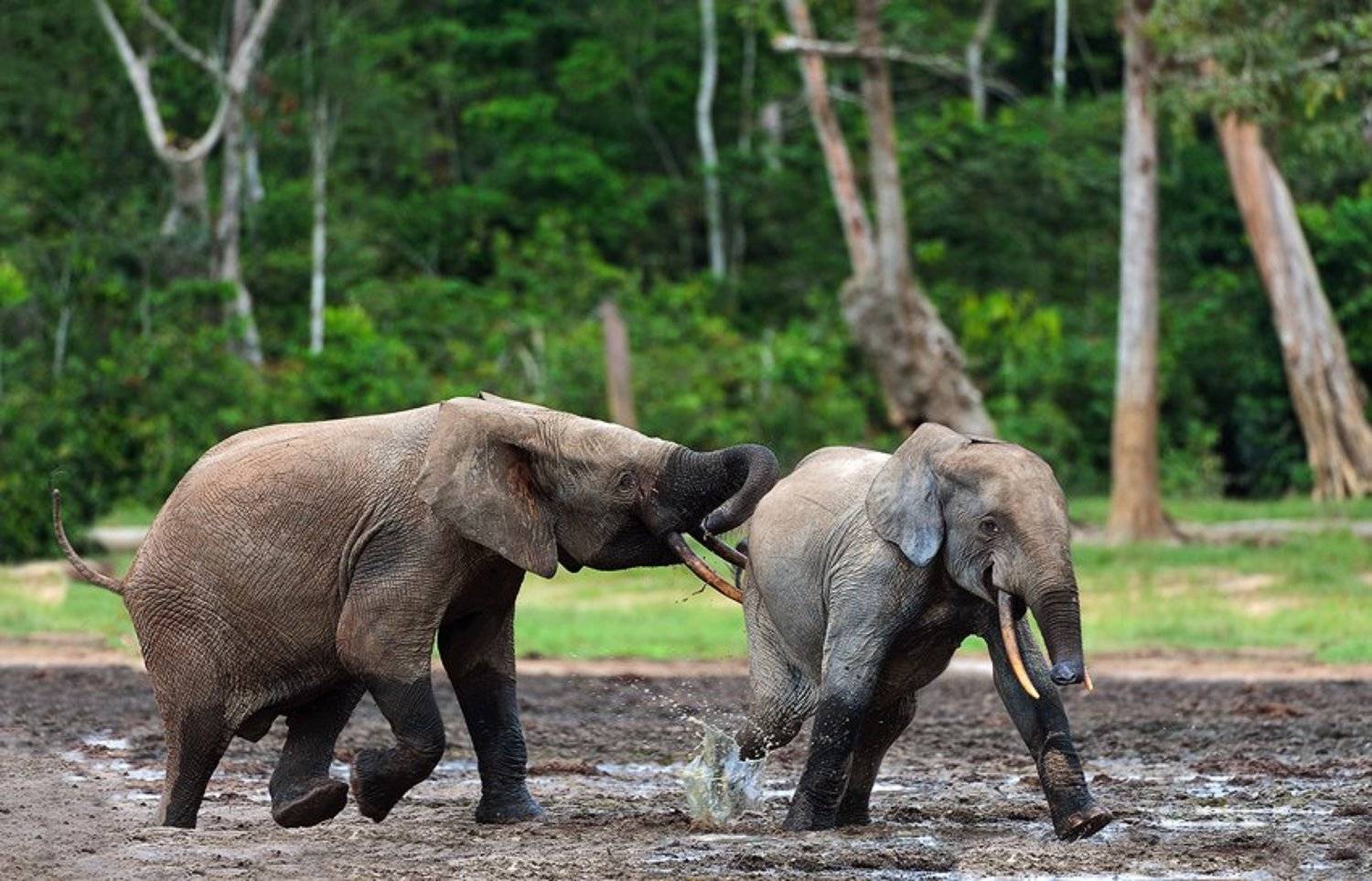 , Сергей Урядников