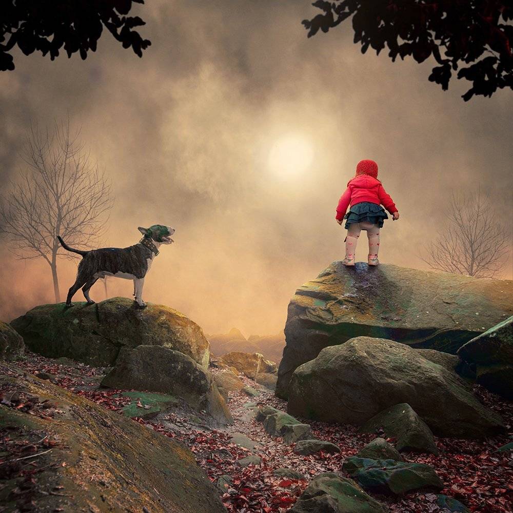 mist, red, girl, tree, running, purple, mystery, manipulation, photoshop, violet, iris, balance, joy, psd, ioana, , tutorials, dog, cliff, Caras Ionut