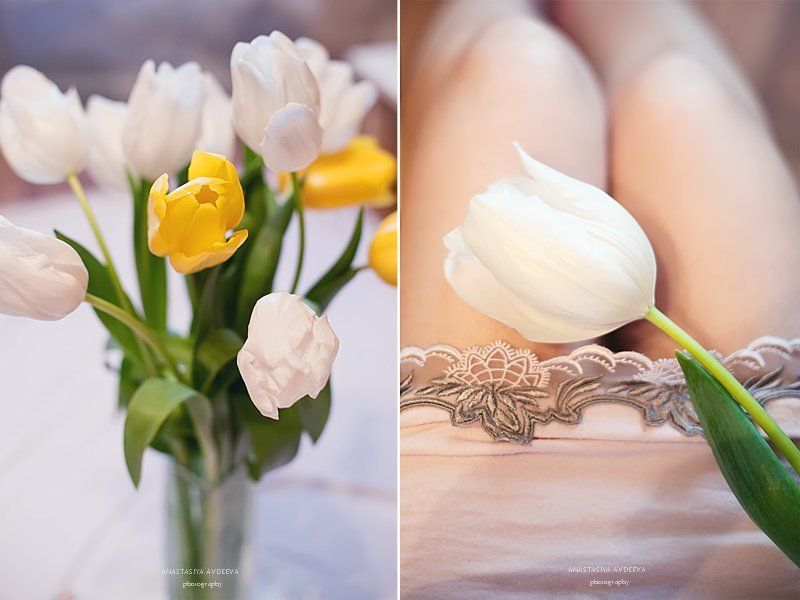 Тюльпаны фото превью