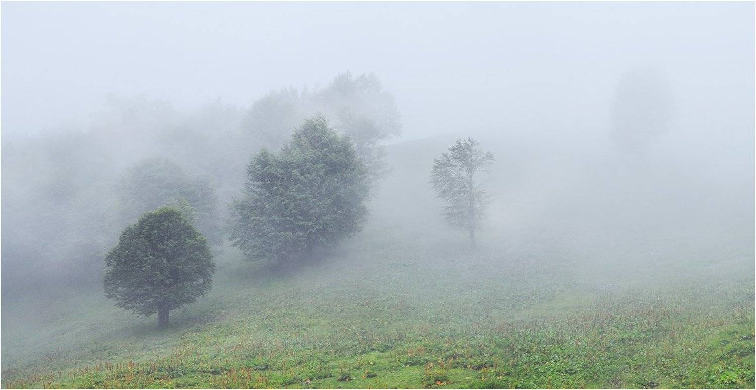 , Денис Кривой