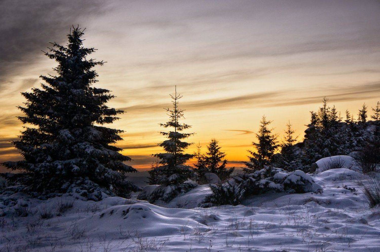 , Светозар Кръстев