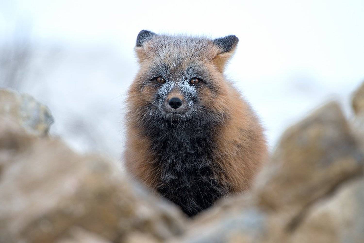 , Иван Кислов