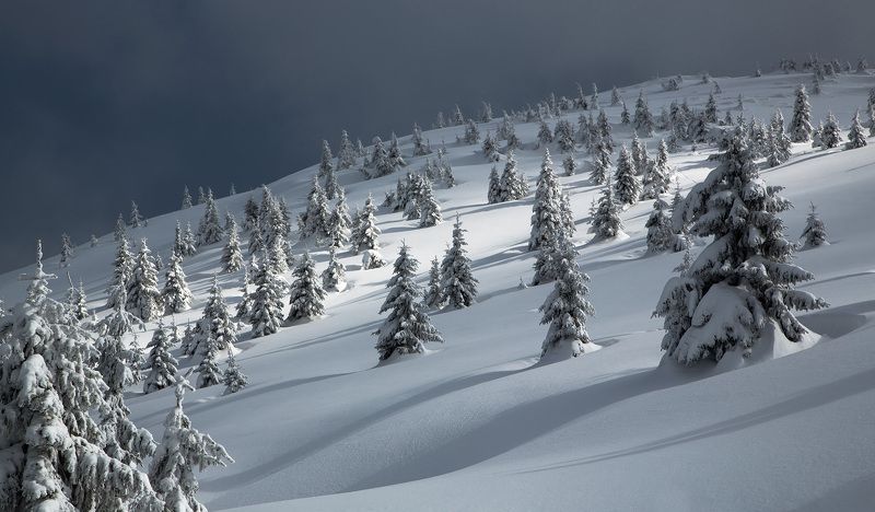 ДЕСЯТЬ ПЕСЕН О ЗИМНИХ КАРПАТАХ... фото превью