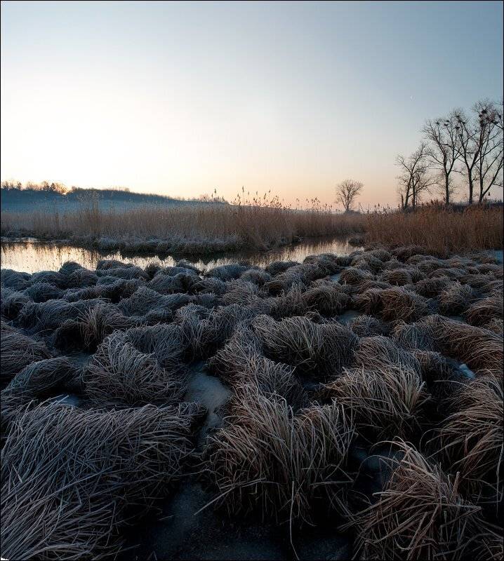 , Полищук И.В.