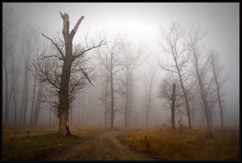 bulgaria  фото превью