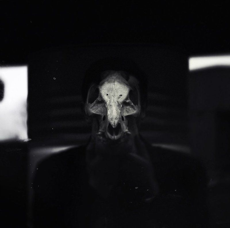 skull and cross-bones фото превью