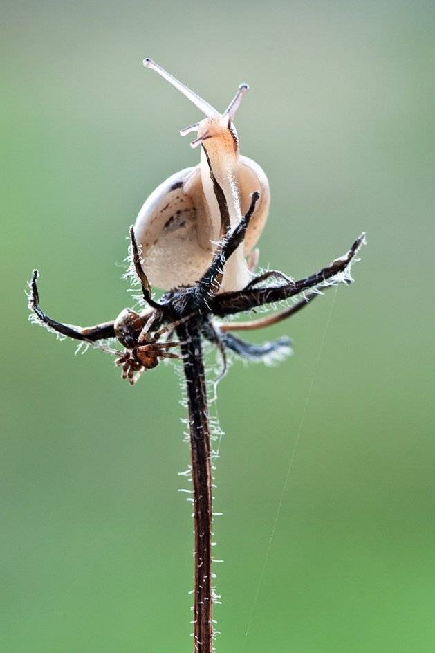 , Наум Пятов