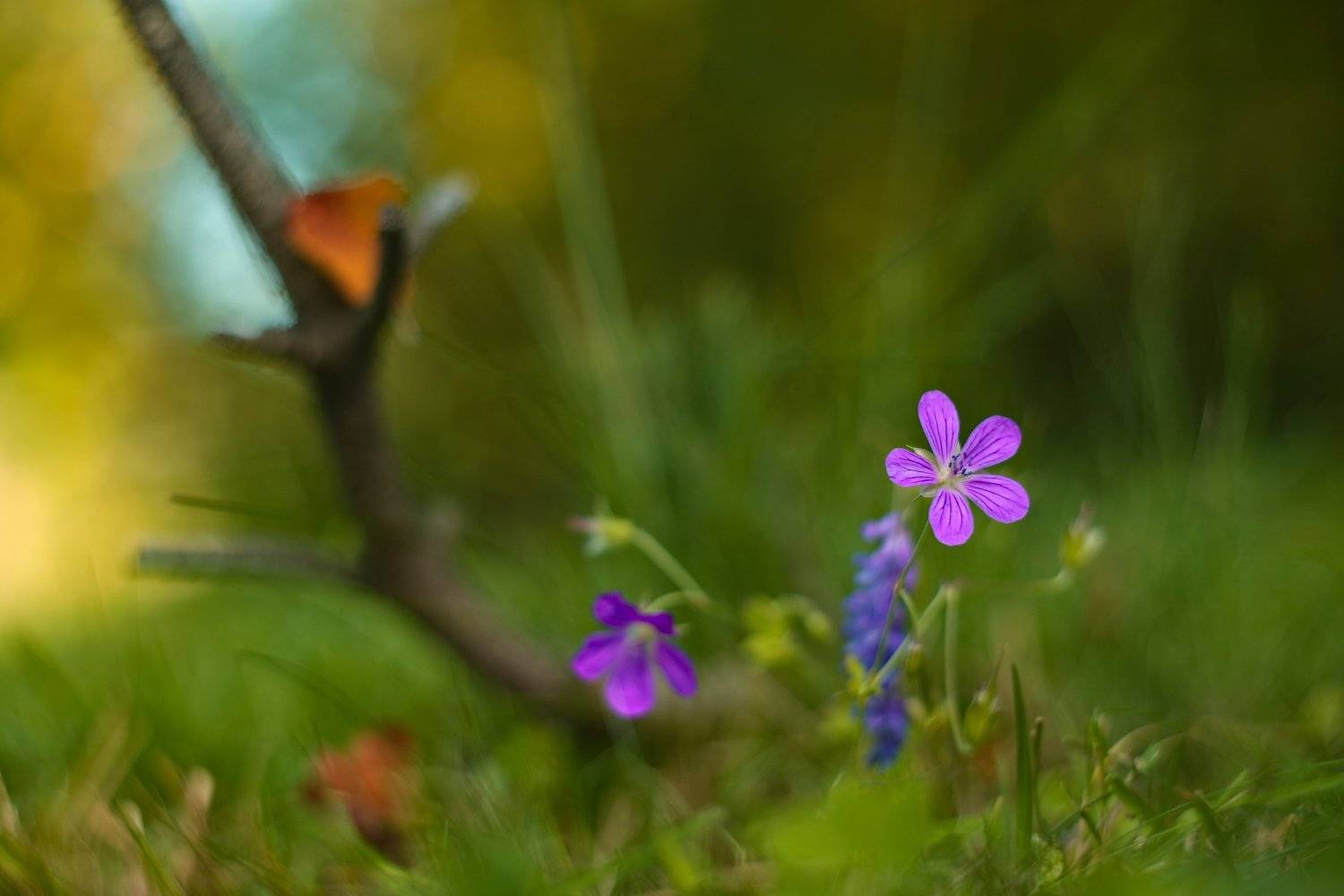 , Эдуард Колобошников