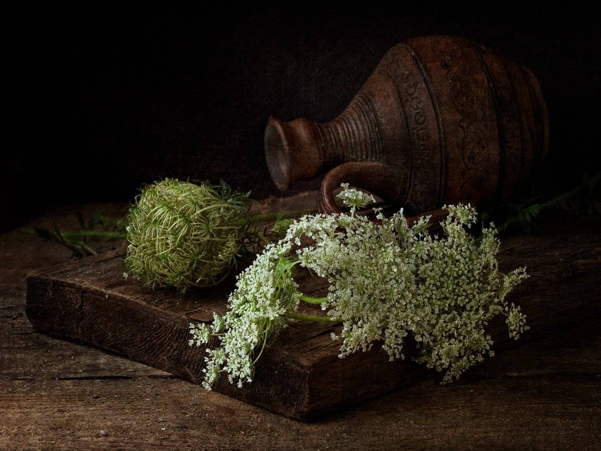 , Татьяна Аверина