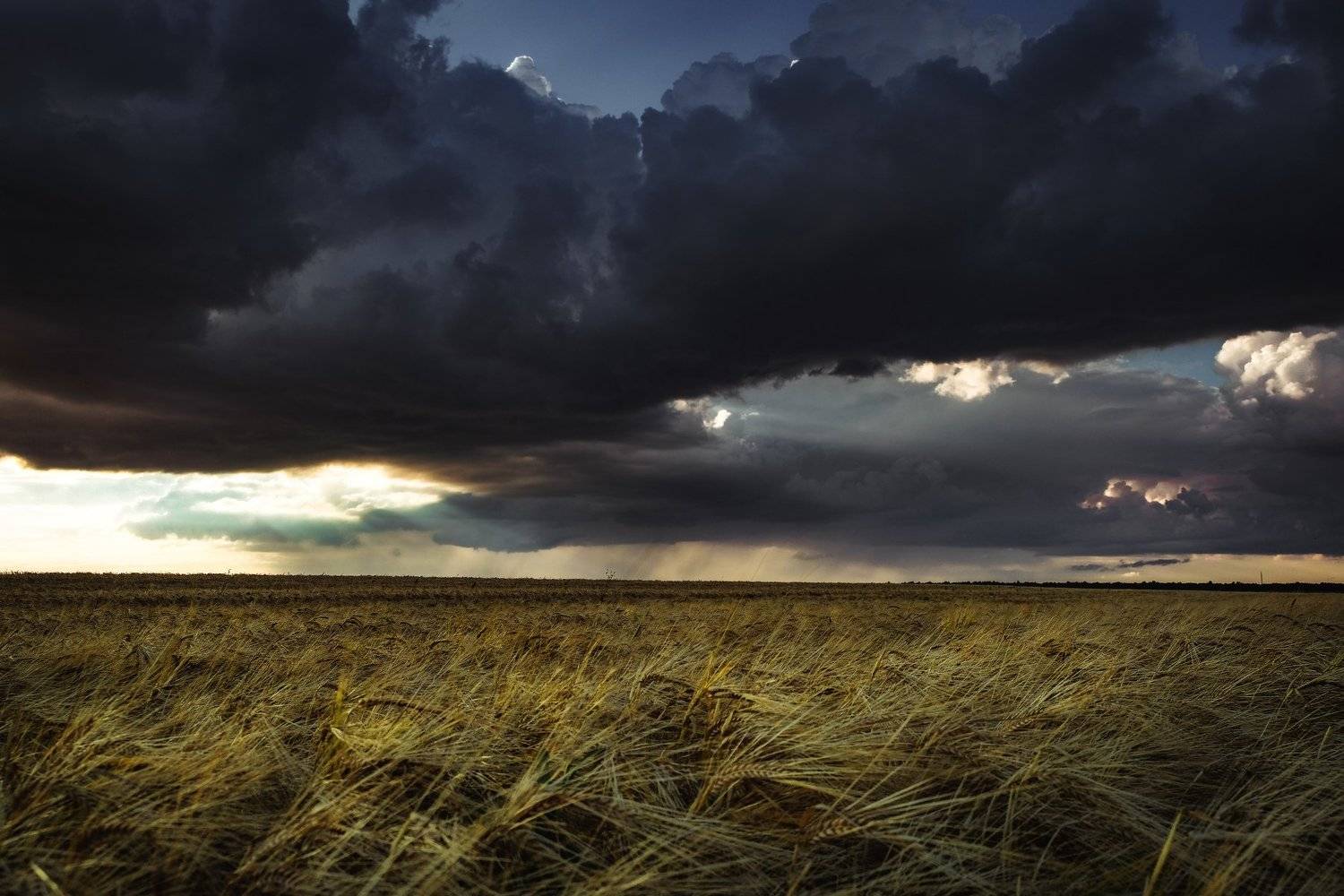 , Екатерина