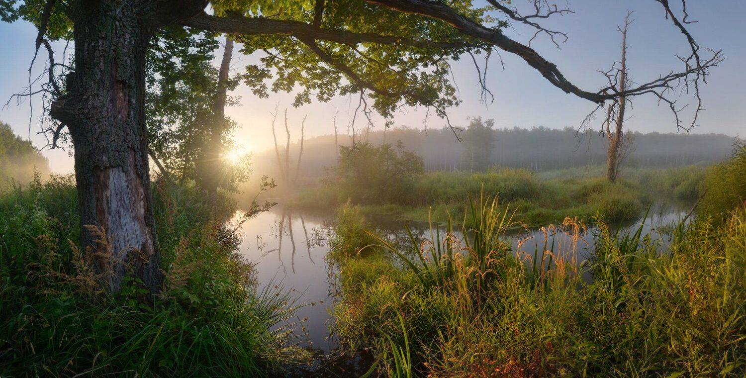 Тула, Ясная Поляна, Калинов луг, Воронка, Сергей Кочергин