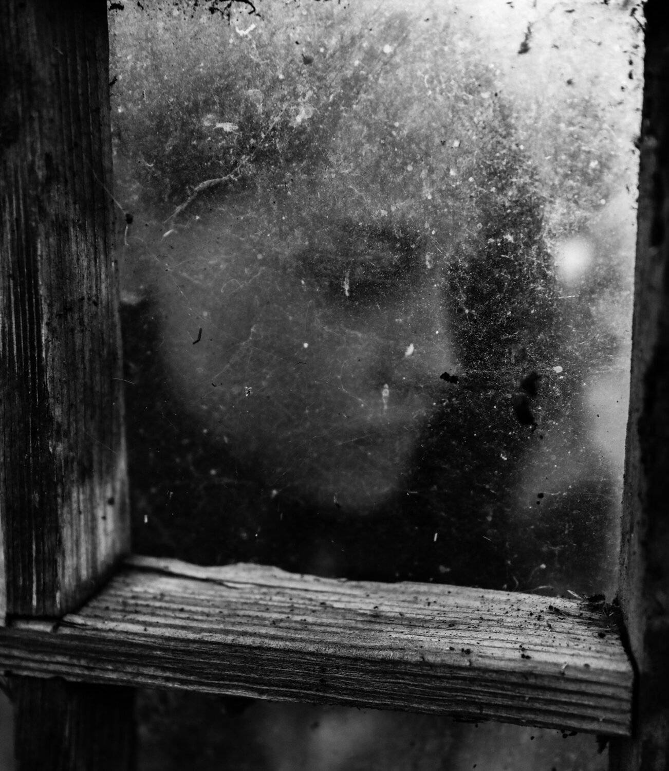 Концепт,Черно белое, Alexandr Tataev