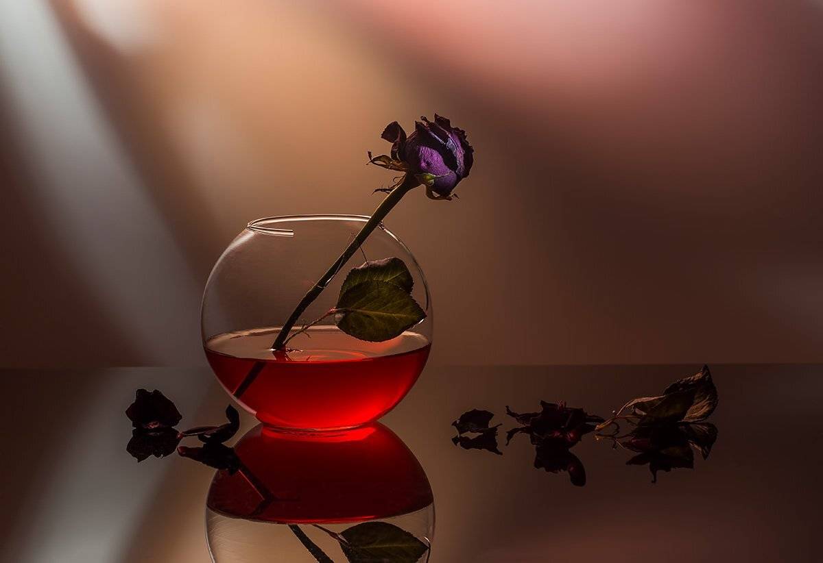 , Евгений Попов