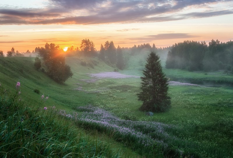 На рассвете фото превью