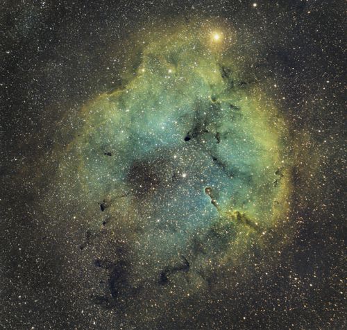 Elephant trunk nebula IC1396