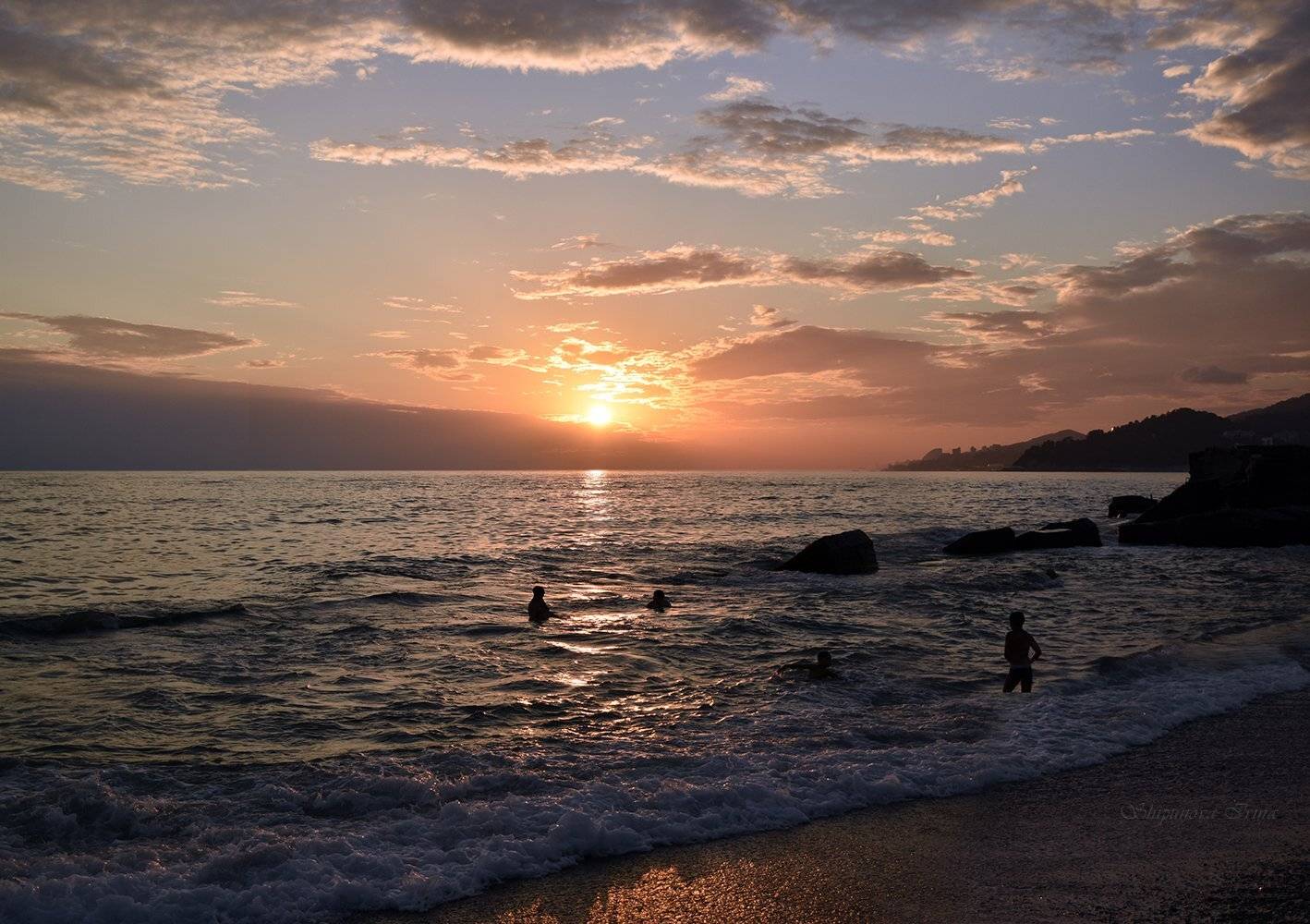 , Шипунова Ирина