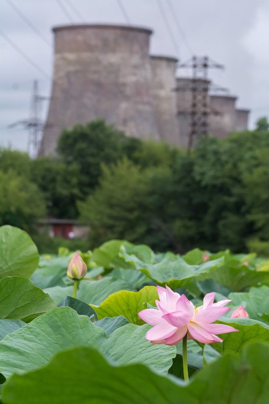 Cовместить несовместимое фото превью