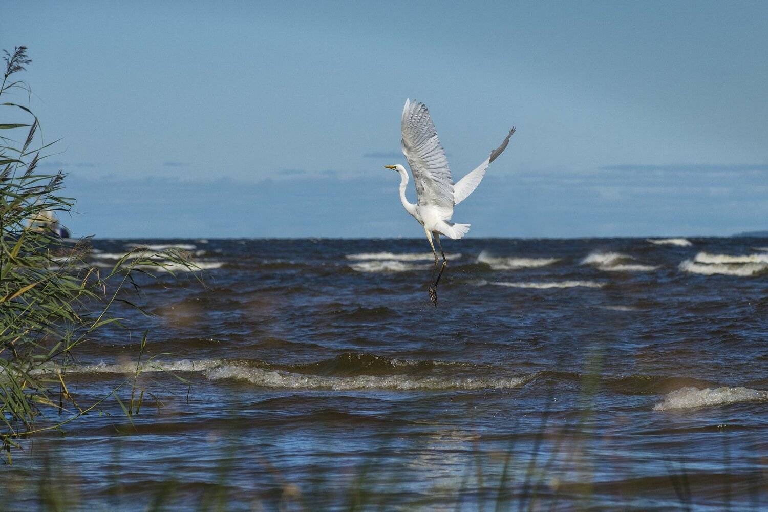 , Юрий Кулаков