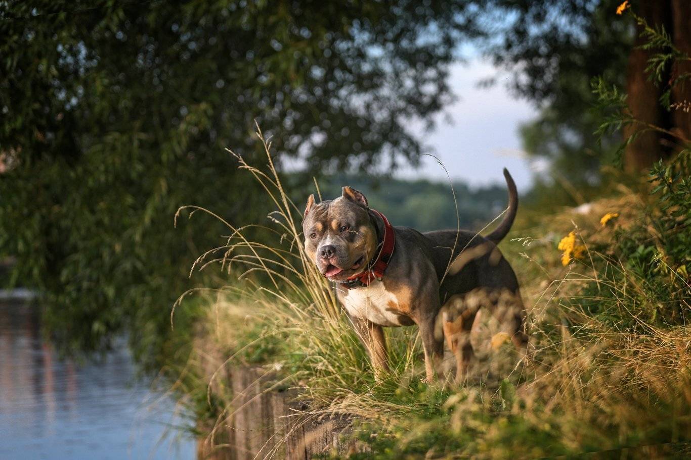 , Андрей Ершов